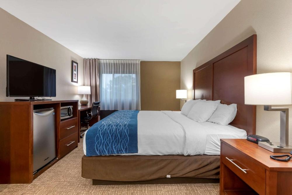 Comfort Inn Binghamton I-81 Imagen 13