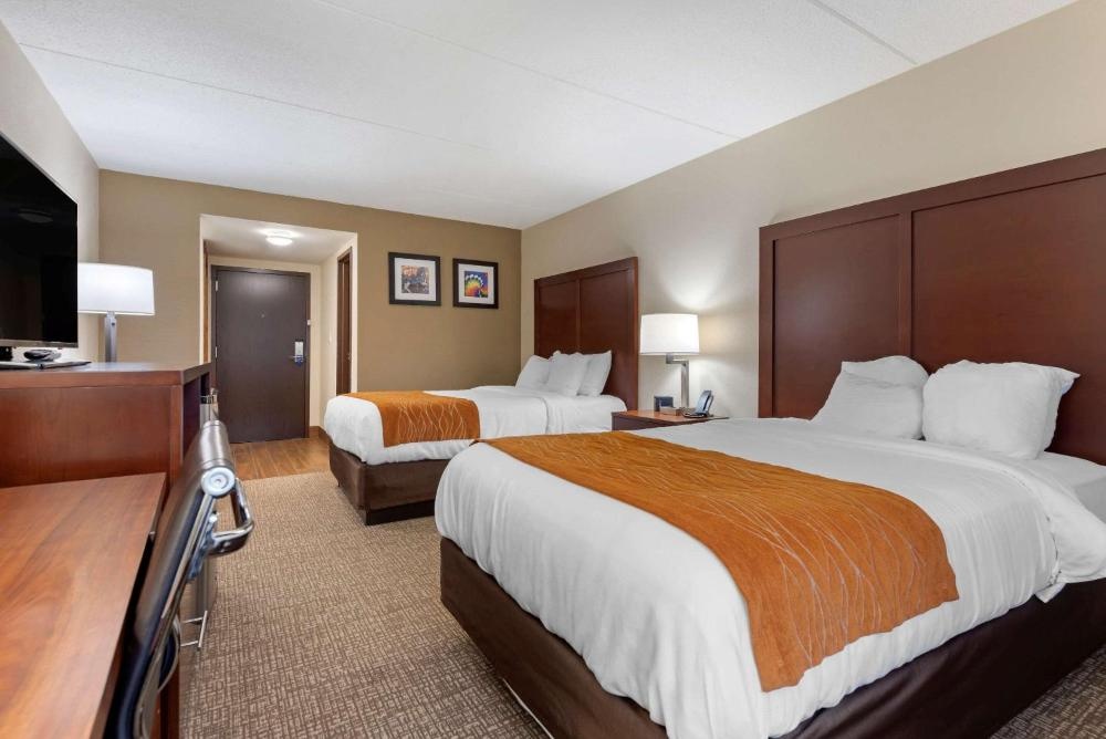 Comfort Inn Binghamton I-81 Imagen 21