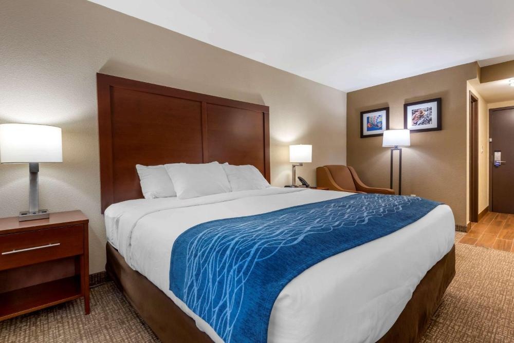 Comfort Inn Binghamton I-81 Imagen 27