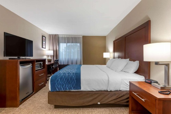 Comfort Inn Binghamton I-81 image 25