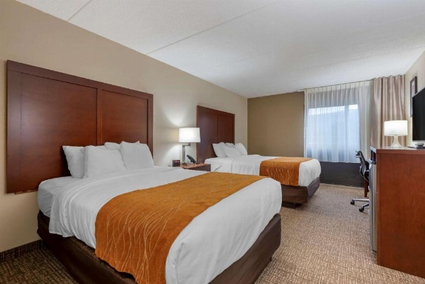 Comfort Inn Binghamton I-81 image 6